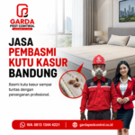 Rincian Biaya Jasa Pembasmi Kutu Kasur Bandung dan Panduan Lengkap Pembasmian Tuntas
