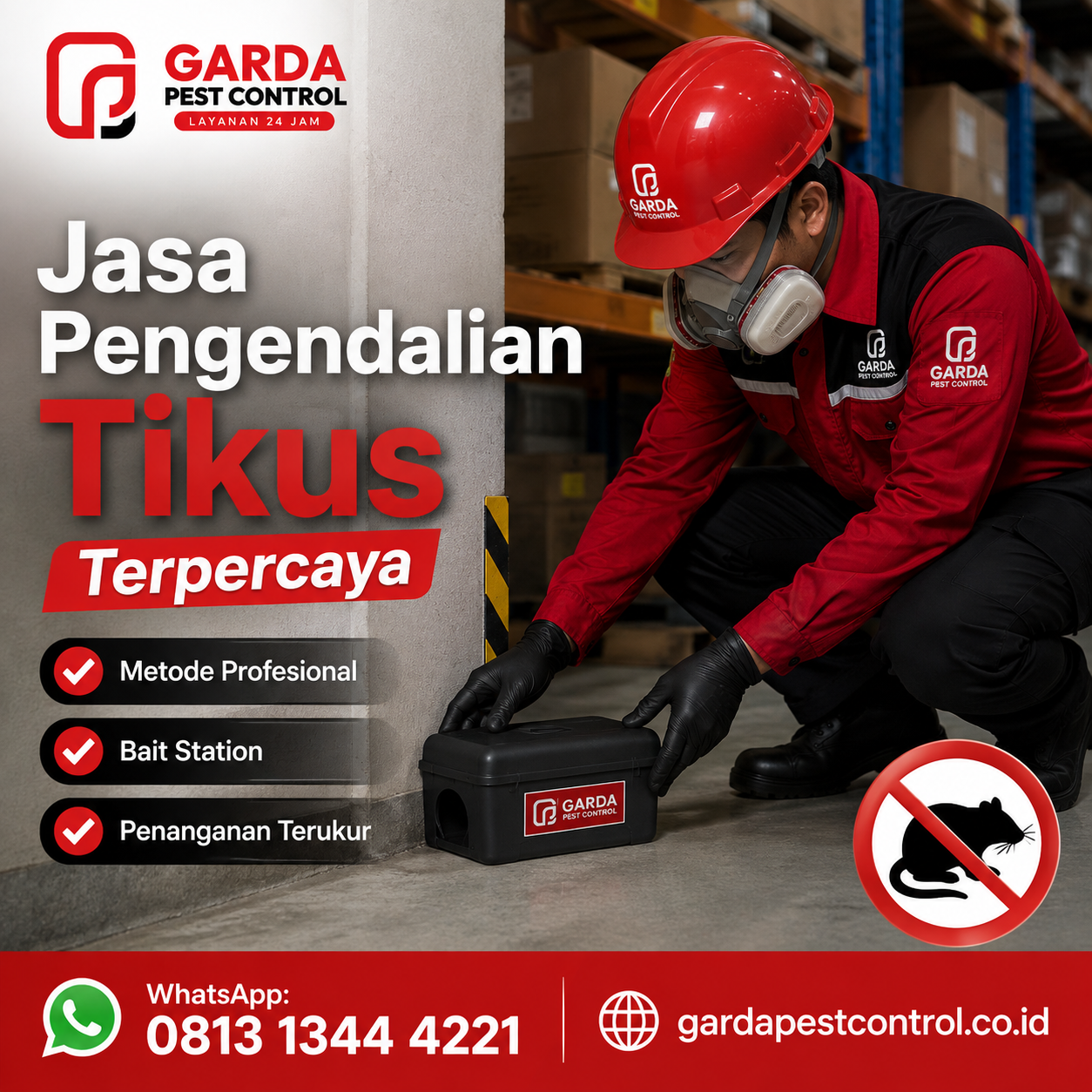 Rincian Harga Jasa Pembasmi Tikus di Bandung dan Panduan Penanganannya