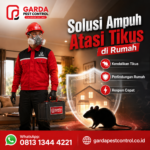 Rincian Harga Jasa Pembasmi Tikus di Bandung dan Panduan Penanganannya