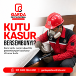 Pembasmi Kutu Kucing di Solo