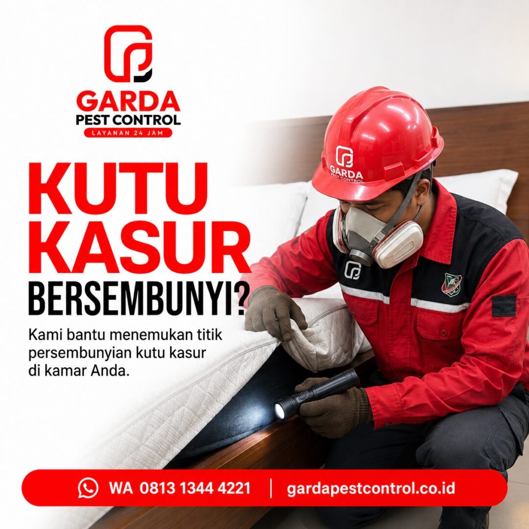 Pembasmi Kutu Kucing di Solo